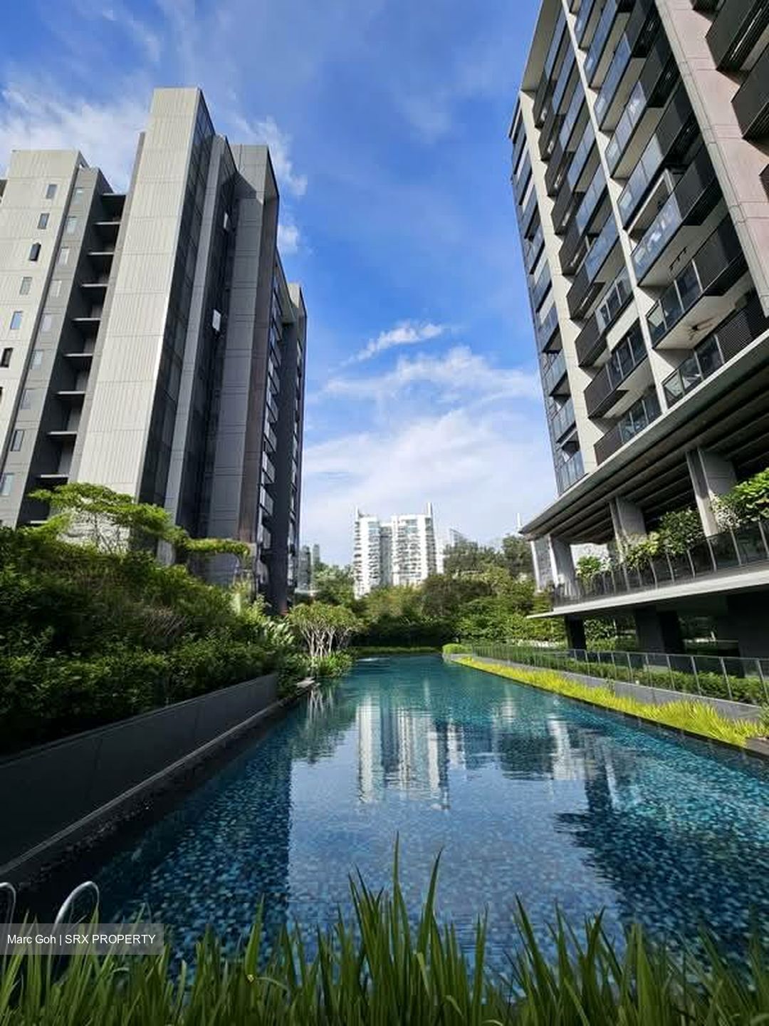 Leedon Green (D10), Condominium #567656161